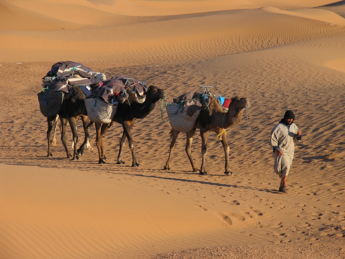 Sahara Desert Trek - Framework Housing Association